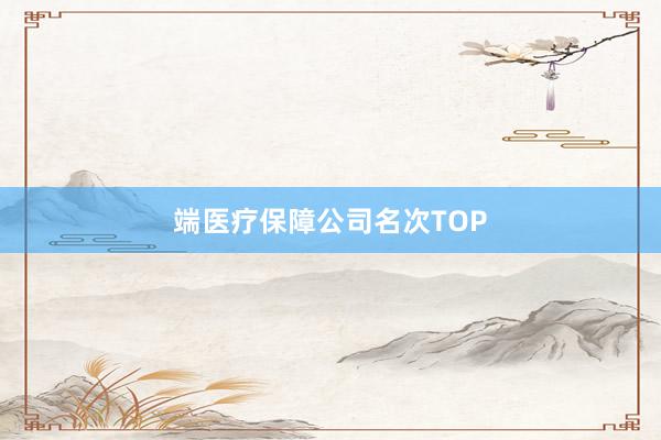 端医疗保障公司名次TOP
