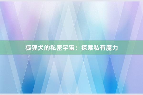 狐狸犬的私密宇宙：探索私有魔力